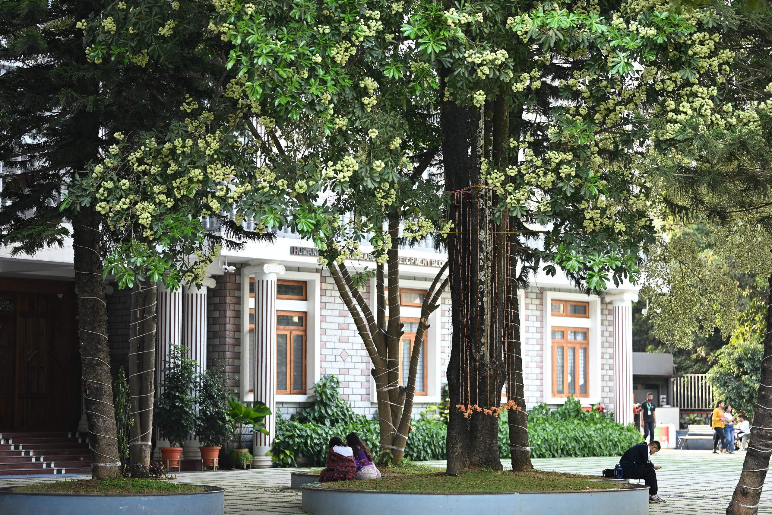 Green Campus - Kristu Jayanti University